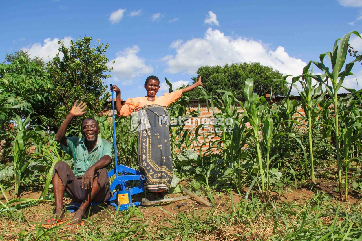 Country Partnerships Manager