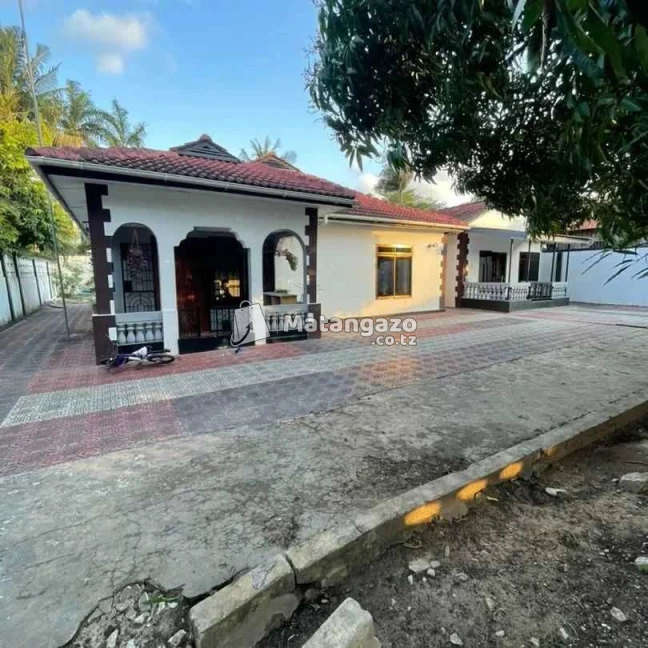 IPO MBEZI BEACH DAR ES SALAAM TANZANIA