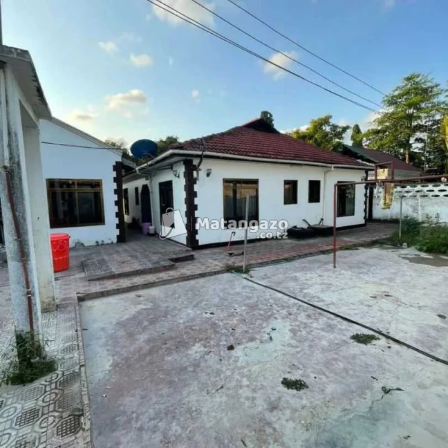 IPO MBEZI BEACH DAR ES SALAAM TANZANIA