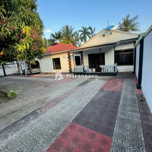 IPO MBEZI BEACH DAR ES SALAAM TANZANIA