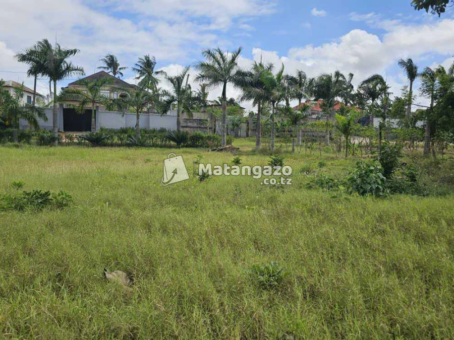 ENEO LINAUZWA MILIONI 60 SQMT 1573 LIMEPIMWA LIPO MADALE CONTENA