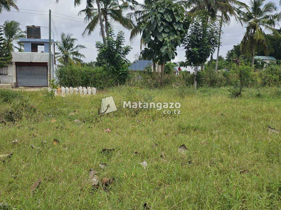ENEO LINAUZWA MILIONI 60 SQMT 1573 LIMEPIMWA LIPO MADALE CONTENA