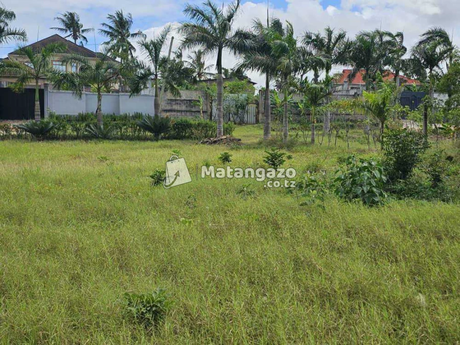 ENEO LINAUZWA MILIONI 60 SQMT 1573 LIMEPIMWA LIPO MADALE CONTENA