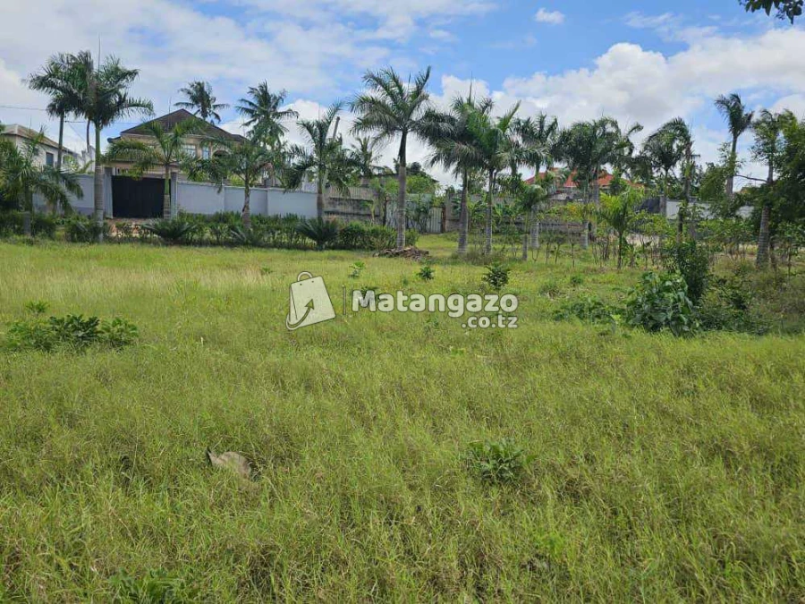 ENEO LINAUZWA MILIONI 60 SQMT 1573 LIMEPIMWA LIPO MADALE CONTENA