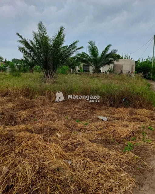 ENEO LINAUZWA MILIONI 16 MAONGEZI YAPO SQMT 1600 LIMEPIMWA LIPO MINGOI BAGAMOYO