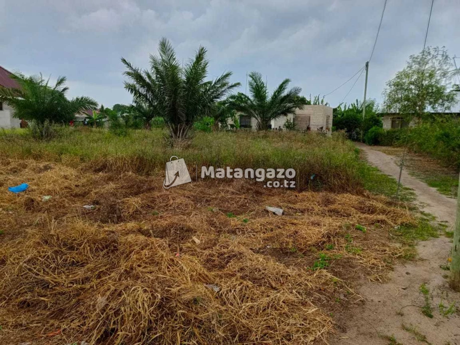 ENEO LINAUZWA MILIONI 16 MAONGEZI YAPO SQMT 1600 LIMEPIMWA LIPO MINGOI BAGAMOYO
