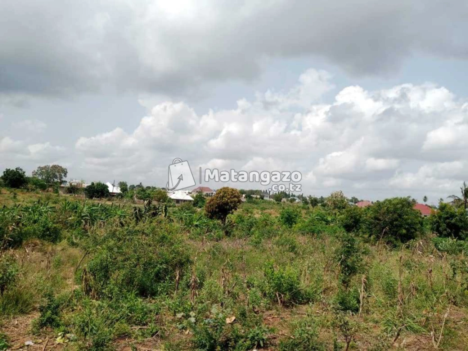 ENEO LINAUZWA MILIONI 25 SQMT 1500 LINA HATI LIPO MABWE PANDE