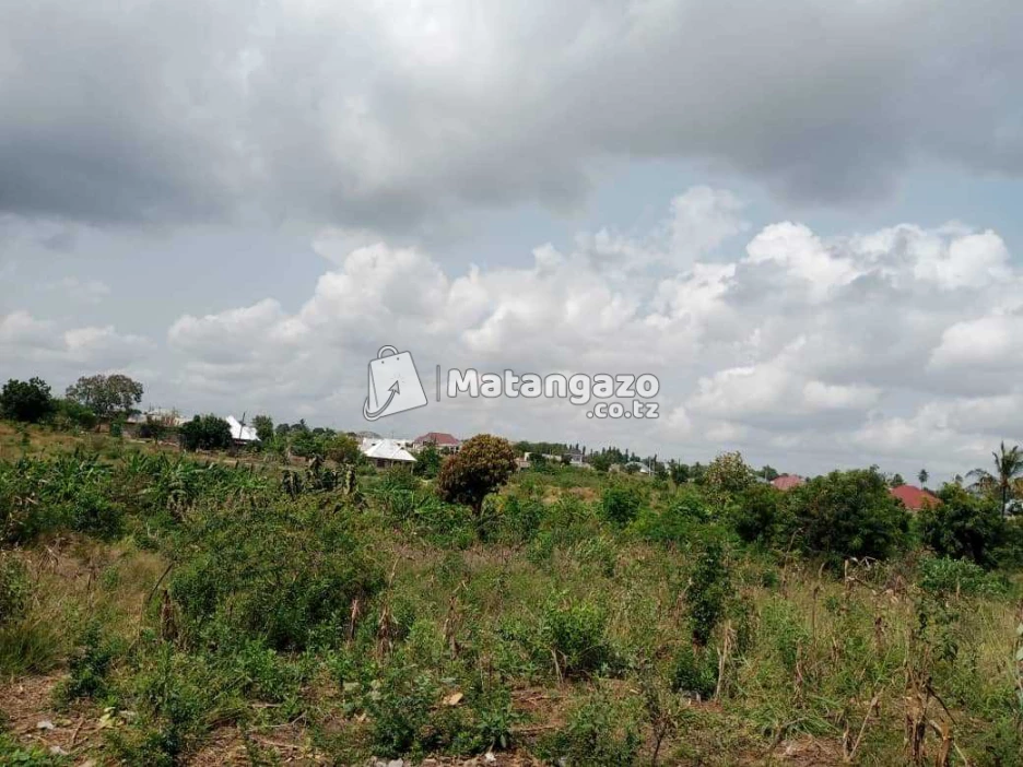 ENEO LINAUZWA MILIONI 25 SQMT 1500 LINA HATI LIPO MABWE PANDE