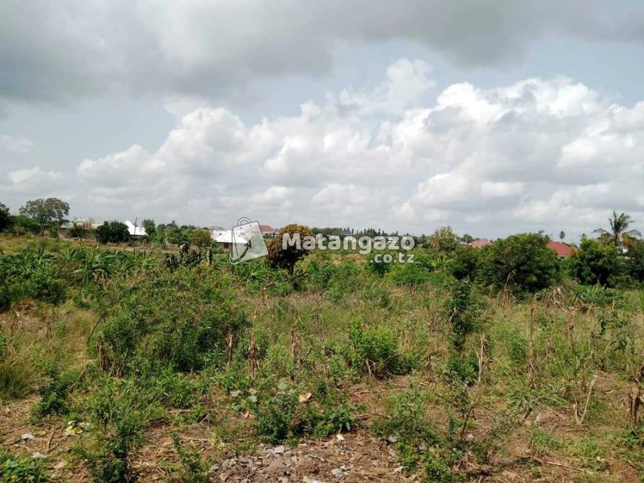 ENEO LINAUZWA MILIONI 25 SQMT 1500 LINA HATI LIPO MABWE PANDE