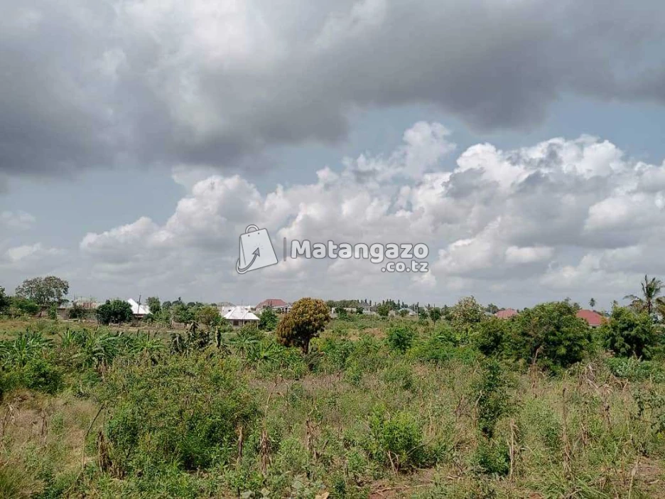 ENEO LINAUZWA MILIONI 25 SQMT 1500 LINA HATI LIPO MABWE PANDE