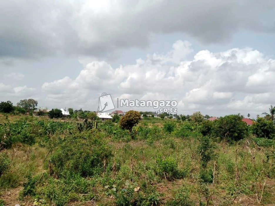ENEO LINAUZWA MILIONI 25 SQMT 1500 LINA HATI LIPO MABWE PANDE
