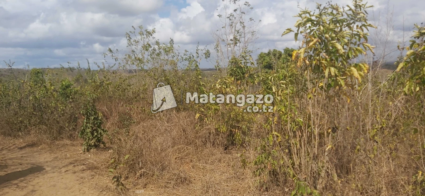shamba la ekari 20 linauzwa kiwangwa bago
