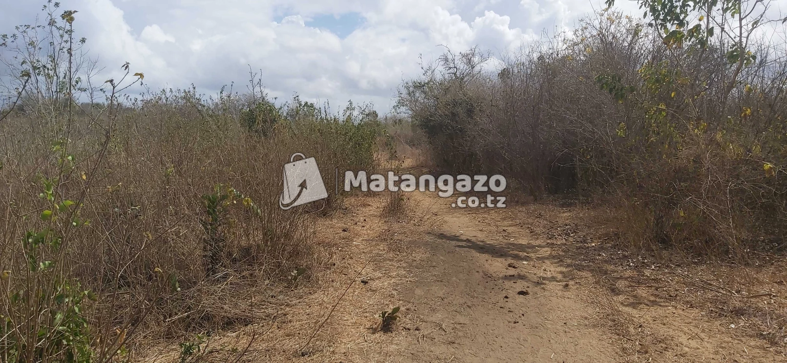 shamba la ekari 20 linauzwa kiwangwa bago