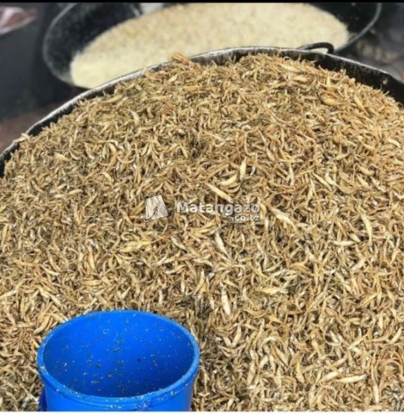 dagaa bola na watamu