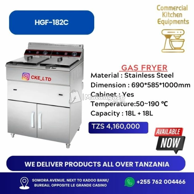 gas fryer