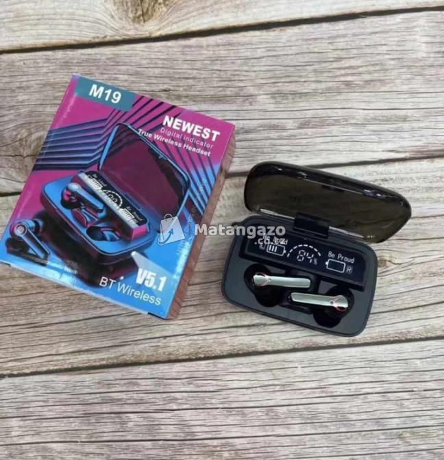 M19 earpods