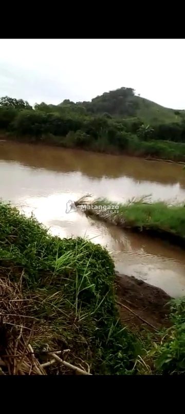kiwangwa bagamoyo pwani