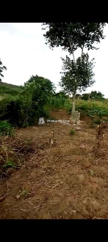 kiwangwa bago