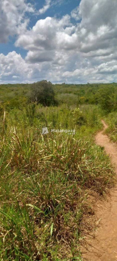 kiwangwa bagamoyo pwani