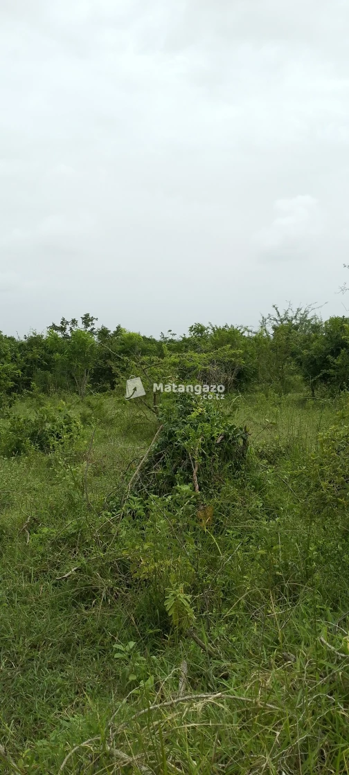 kiwangwa bagamoyo pwani