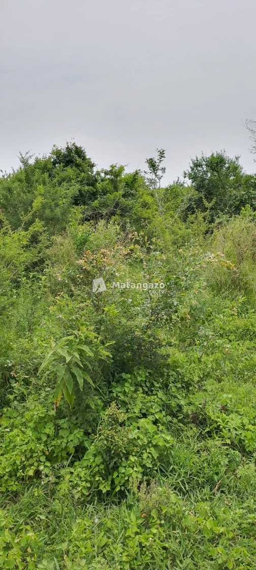 kiwangwa bagamoyo pwani