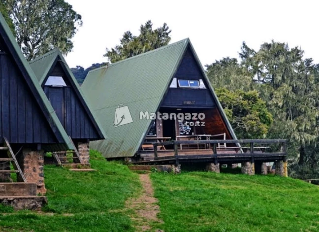 Kilimanjaro Marathon and Kilimanjaro 6 Days Trekking Marangu Route