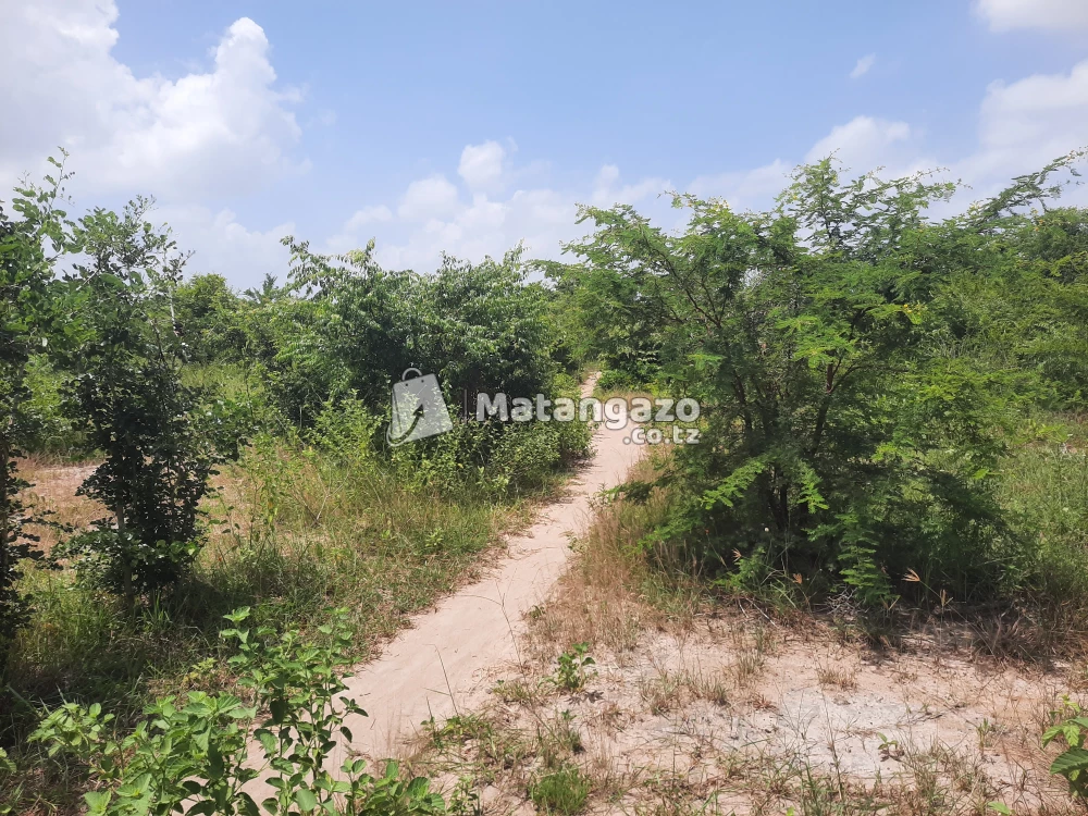 shamba la ekari 15 linauzwa fukayosi bagamoyo