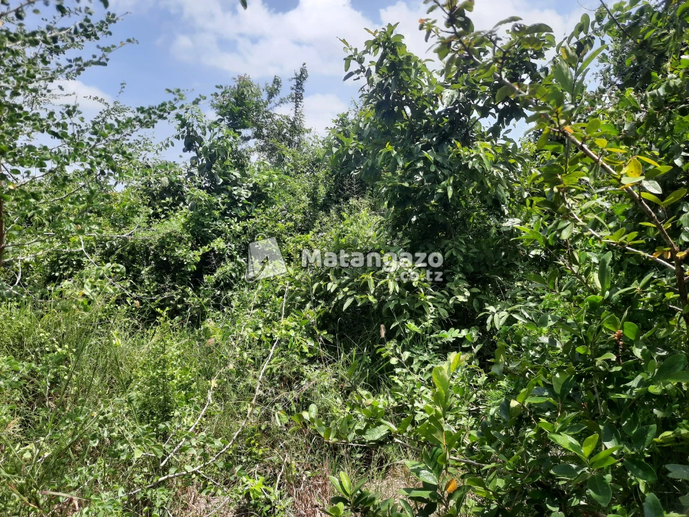shamba la ekari 15 linauzwa fukayosi bagamoyo
