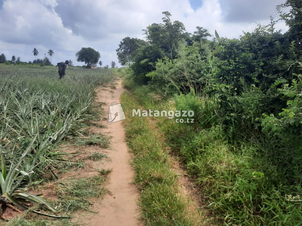 shamba la ekari 3 linauzwa fukayosi bagamoyo