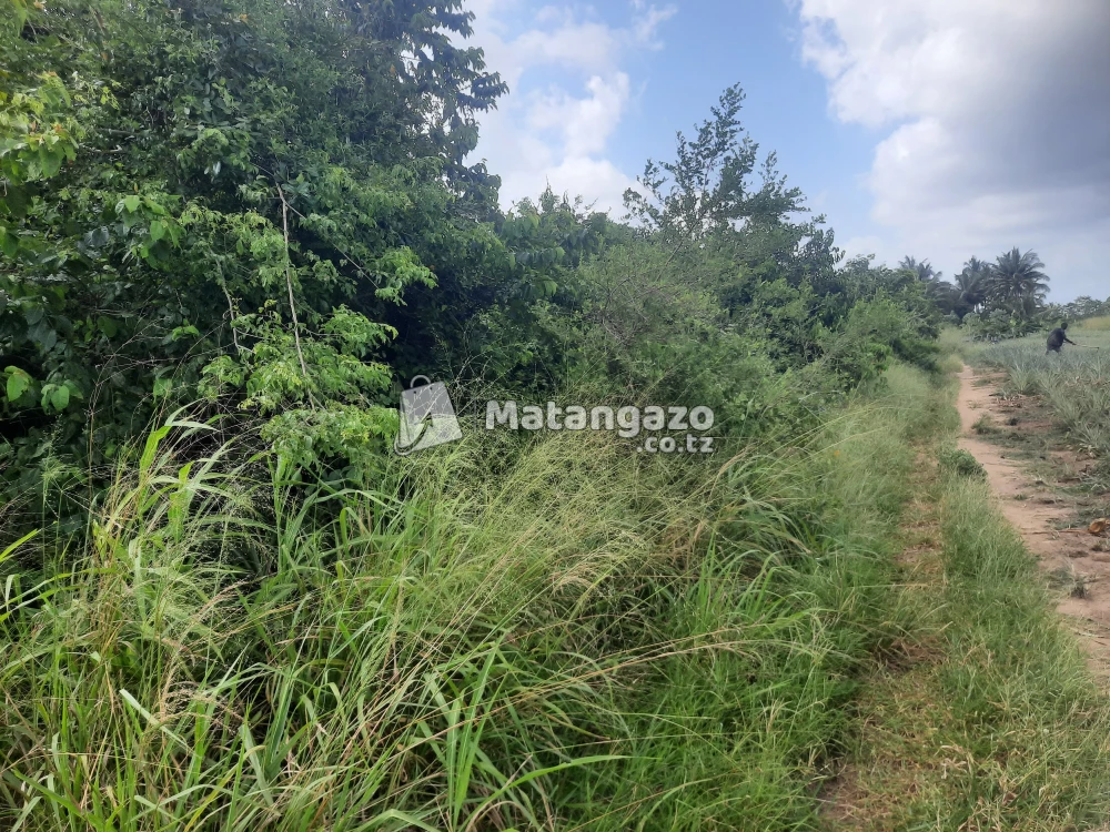 shamba la ekari 3 linauzwa fukayosi bagamoyo