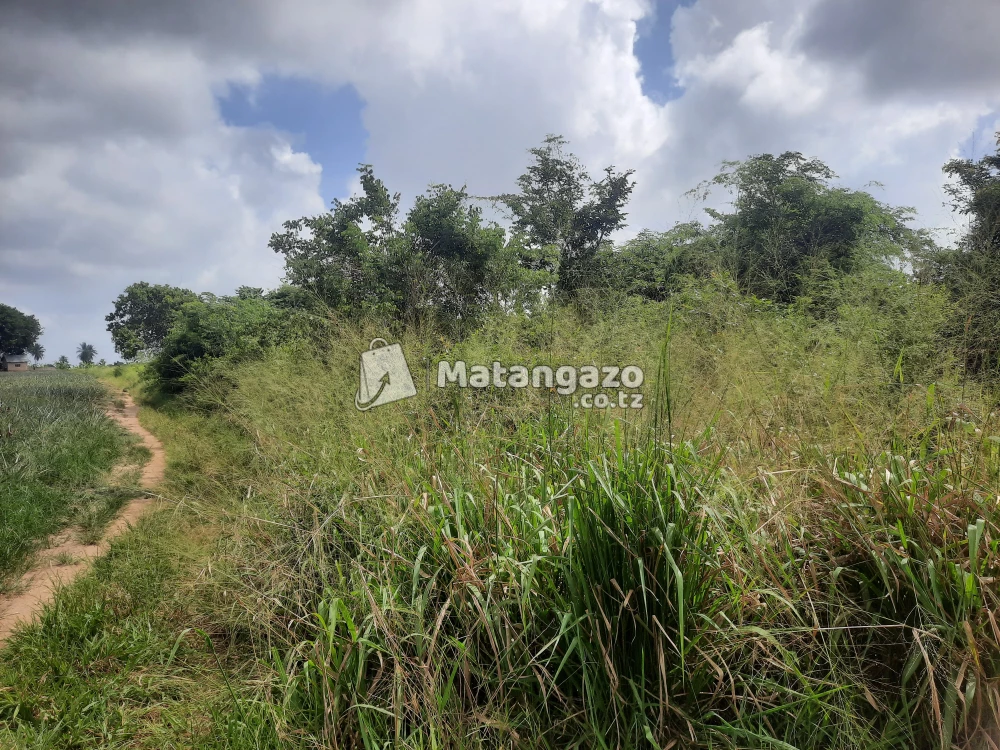 shamba la ekari 3 linauzwa fukayosi bagamoyo