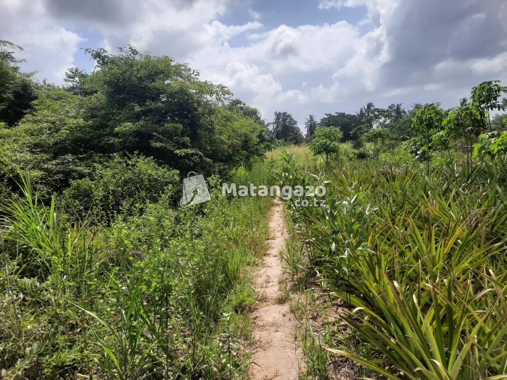 shamba la ekari 3 linauzwa fukayosi bagamoyo