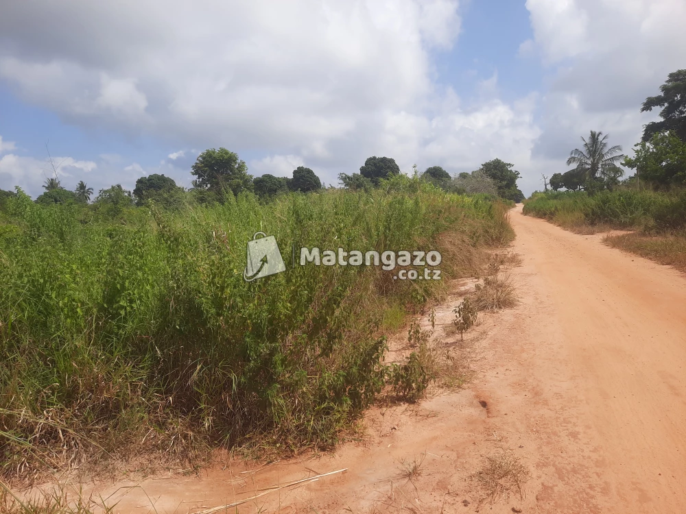 shamba la ekari 4 linauzwa fukayosi bagamoyo