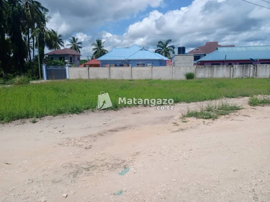 ENEO LENYE UKUBWA WA SQMT 1000 LINAUZWA MILIONI 45 LIPO BUNJU ( B )