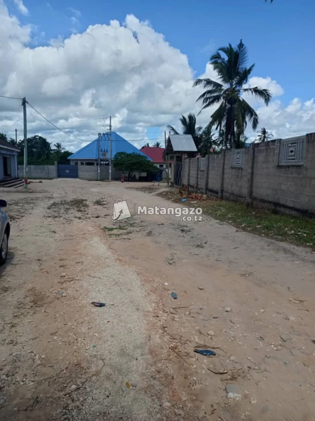 ENEO LENYE UKUBWA WA SQMT 1000 LINAUZWA MILIONI 45 LIPO BUNJU ( B )