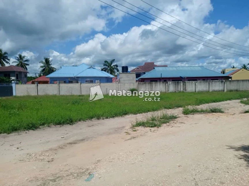 ENEO LENYE UKUBWA WA SQMT 1000 LINAUZWA MILIONI 45 LIPO BUNJU ( B )