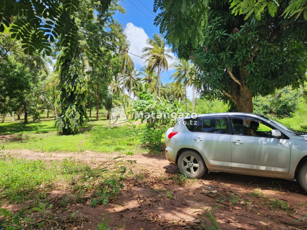 22,850m² of land with 12 uptodate title deeds
