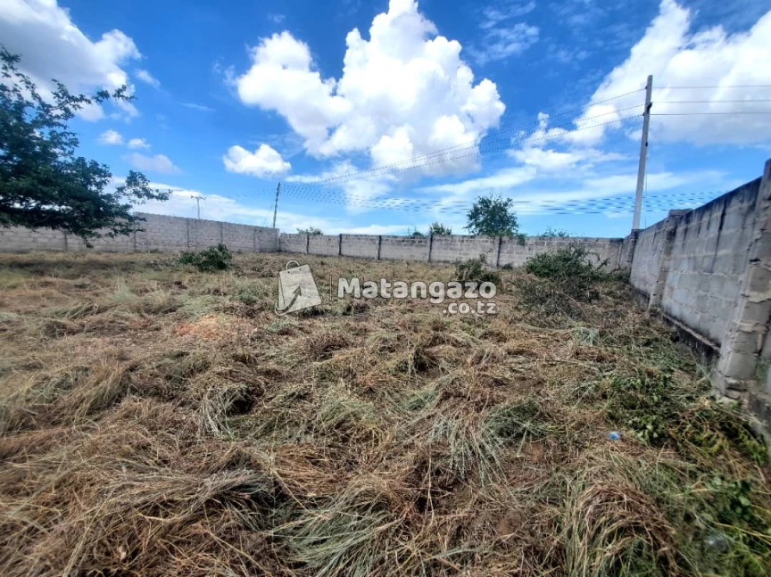 ENEO LENYE UKUBWA WA SQMT 700 LINAUZWA MILIONI 35 LIPO MADALE MBOPO
