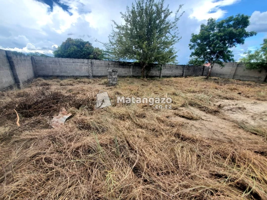 ENEO LENYE UKUBWA WA SQMT 700 LINAUZWA MILIONI 35 LIPO MADALE MBOPO