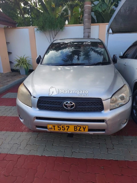Toyota RAV4 2007 Gray