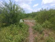 Shamba Linauzwa Kiwangwa Mwetemo