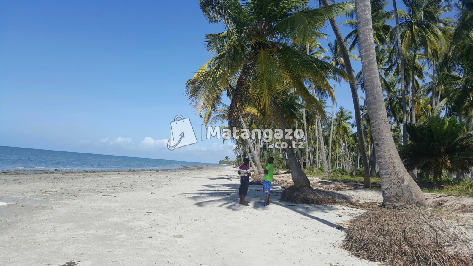 Beach  Plort  Tanga