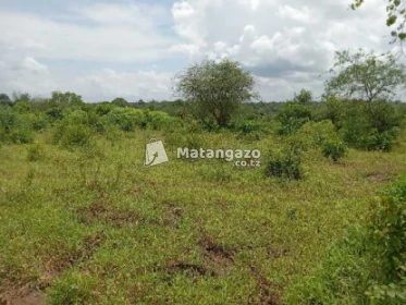 Shamba Linauzwa Mwetemo