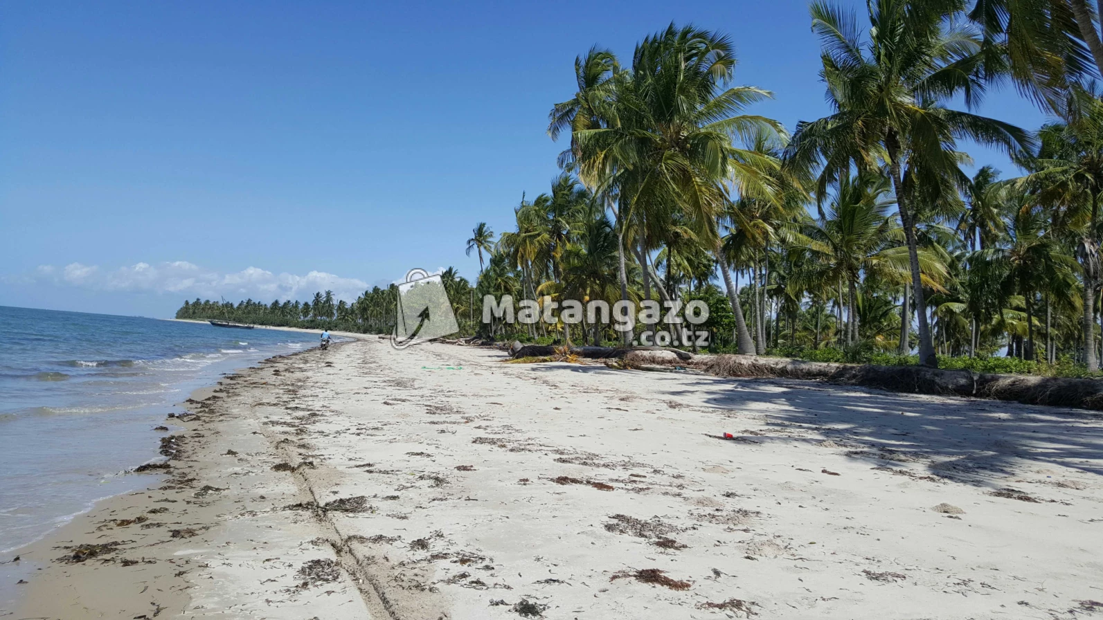 Beach  Plort  Tanga