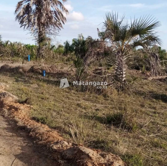 Plots For Sale