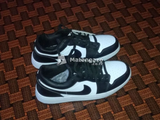 Air Jordan Size 42