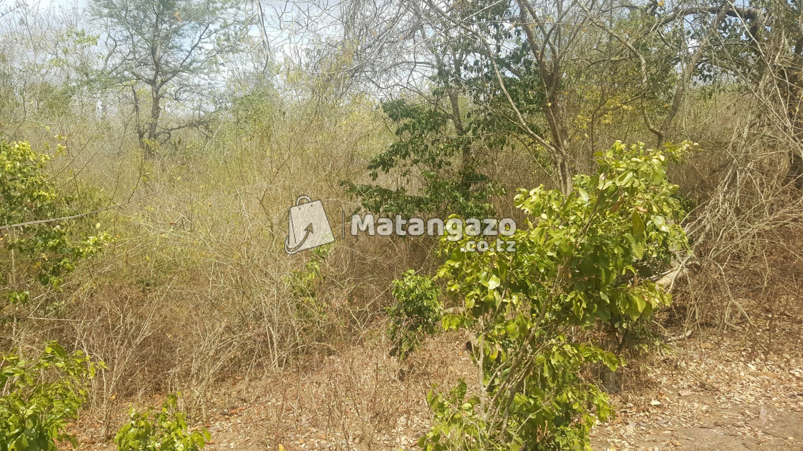 Shamba Linauzwa Eka 60