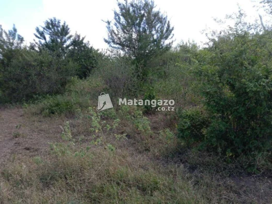 Shamba Linauzwa  Kiwangwa