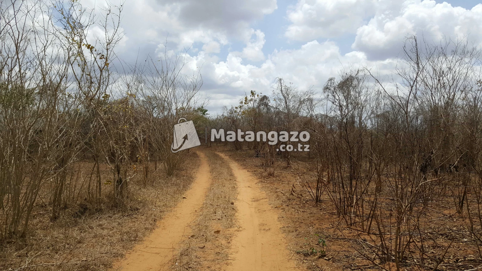 Shamba  Linauzwa  Mwetemo