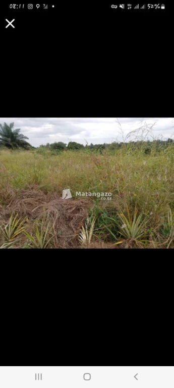 Shamba Linauzwa Mwavi